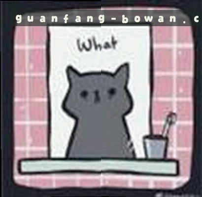 张磊